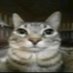 Chencho (@chencho58215499) Twitter profile photo Chencho (@chencho58215499) Twitter profile photo