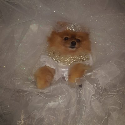 nnyarkjacrazy's profile picture. 🌸 full-time fangirl, part-time adult | ૮₍ ˃ ⤙ ˂ ₎ა 🐨 RM • 🐰 Soobin • 🐤 Lisa • 🎻 Zhanghao • 🦊 Liuye • 🐋 Liuyu • 💖 Heart • 🐒 Nay | (˘͈ᵕ ˘͈♡) multi-fandom