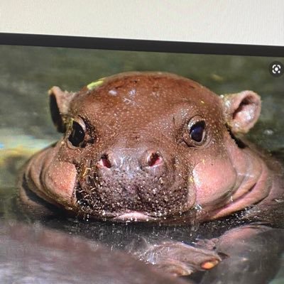 nazarfisherman's profile picture. Bro