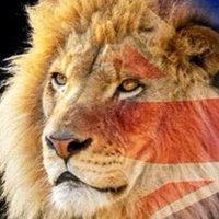 Robbo (@robbo92627) 's Twitter Profile Photo Robbo (@robbo92627) 's Twitter Profile Photo
