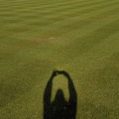 Award winning cricket pitches
County Pitch Advisor - Cricket East