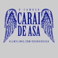 O Caralho de Asa (@_ocaraideasa) 's Twitter Profile