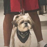 nycrox (@nycrox) 's Twitter Profile