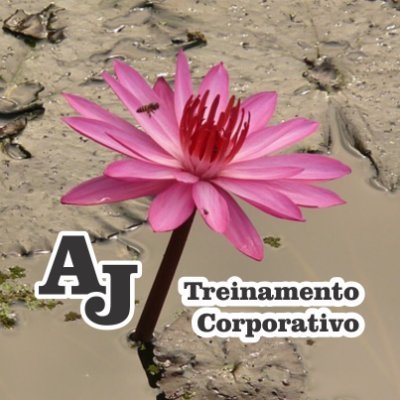 #Treinamento #Consultoria #Jurídica #Custos #Tributarista #Direito Societário #Engenheira de Lucros #....