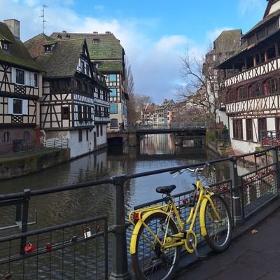 Sdfutbal's profile picture. 🔴🍀

no. 1 ian hislop hater