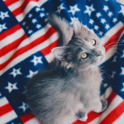 Learn to listen to the Voice within yourself #USMC wife Cat lover😻 #USAF #MAGA #Veterans #SemperFi 🇺🇸