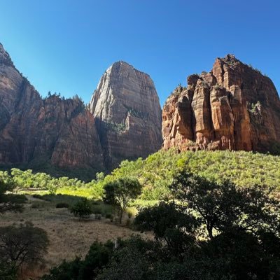 swiftshift0's profile picture. 