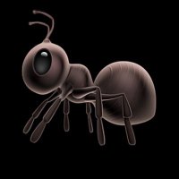 Mr enel (@etienneene33925) 's Twitter Profile Photo