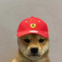 Mo7 🏁 (@cvxia7) 's Twitter Profile