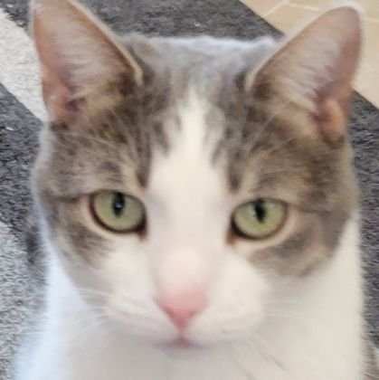 ShaneS_1969's profile picture. 