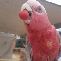 John Lucas (@deefadog4me) 's Twitter Profile Photo John Lucas (@deefadog4me) 's Twitter Profile Photo