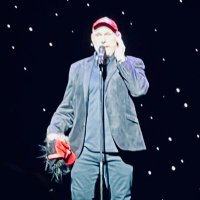 Stephen Owen (@mc_mimic) 's Twitter Profile