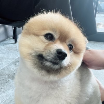 double jさんのプロフィール画像