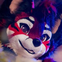 Eros (@erosfennec) 's Twitter Profile Photo Eros (@erosfennec) 's Twitter Profile Photo