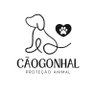 caogonhal's profile picture. ONG de proteção animal na cidade de Congonhal/MG.
Acesse nosso site e conheça os doguinhos que estão para adoção.
