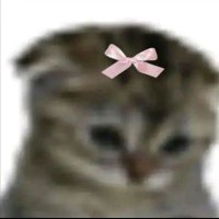 paxxie (@sempaxdijah) 's Twitter Profile Photo