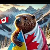 Diana Jo 🇨🇦 💙💛 (@alldessik) 's Twitter Profile