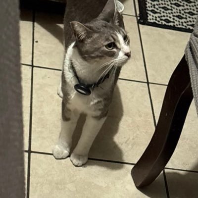 cutemexicangirI's profile picture. @IiIiana__