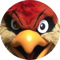 angrycardsfan 🏈 (@angrycards) 's Twitter Profile