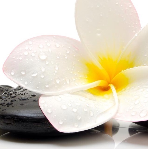 Majed9majed's profile picture. 