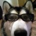 Swag (@swaglife68) Twitter profile photo Swag (@swaglife68) Twitter profile photo