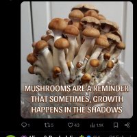 psychedelic (@psychedeli71871) 's Twitter Profile