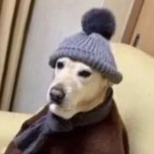 zvb2479's profile picture. ホットドッグ松永はエンタイトルツーベースを意図的に打つ練習を支援しています。