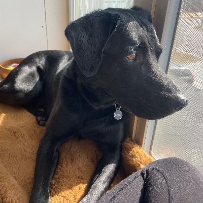 TheBigTuna4's profile picture. Loves whatever you are eating right now, whatever you ate yesterday, and whatever you are about to eat.