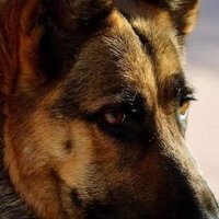 Lalo Duron 🇮🇱 (@laloduron) 's Twitter Profile Photo Lalo Duron 🇮🇱 (@laloduron) 's Twitter Profile Photo