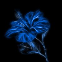 z7 (@vf_zorro7) 's Twitter Profile Photo z7 (@vf_zorro7) 's Twitter Profile Photo