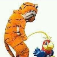 gettin mizzoud (@gettinmizzoud) 's Twitter Profile