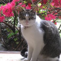 ひろきんぐ (@hirokingstyle) 's Twitter Profile