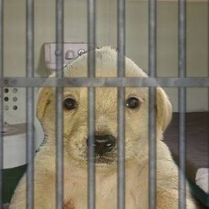 vqmpirics's profile picture. 24 yrs ☆ FUB free ★ whtever i'm hyperfixated on ☆ certified lurker ★ chronic soap reposter ☆ 🔞