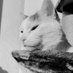 alessa (@alessascyan) Twitter profile photo alessa (@alessascyan) Twitter profile photo