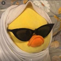 Rahmaw²⁵ free tag (@fdilachoco) 's Twitter Profile
