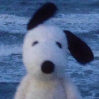 loony ☾ (@lxxnyludy) 's Twitter Profile