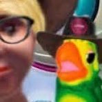 evevdimilhoes's profile picture. Nave ev ev se aproximando da terra 🛸