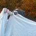 Internet Ghost (@idcimawesomer) Twitter profile photo Internet Ghost (@idcimawesomer) Twitter profile photo
