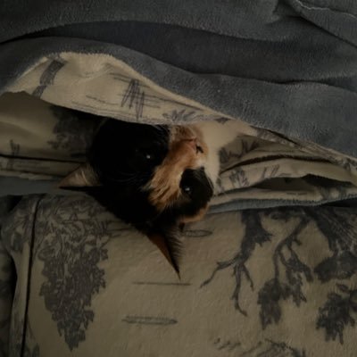 h_weitogn's profile picture. 