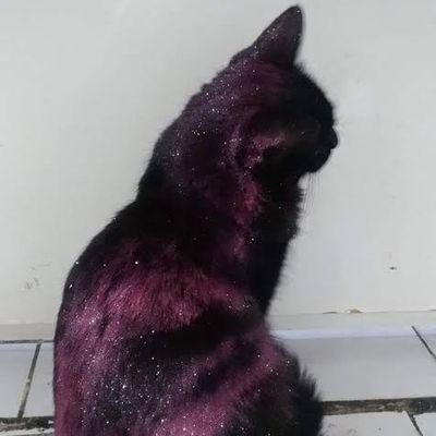 AyushN5491's profile picture. looking for mutuals.