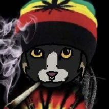 PLoca72's profile picture. Spa/Eng | SFW acc @Piink72|NSFW i post doodles and silly thoughts| pfp by @cowbbbbboy | 18| sexo sexo gay| 🇲🇽| 🔞