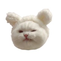 すち (@m1__g) 's Twitter Profile