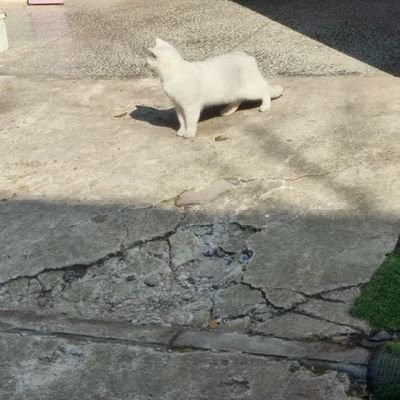 ln8955168483891's profile picture. 