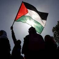#freepalestine become radicalized (She/Her) Communist
Pro Hamas, Pro Ansar-Allah, Pro-anyone fighting against imperialism