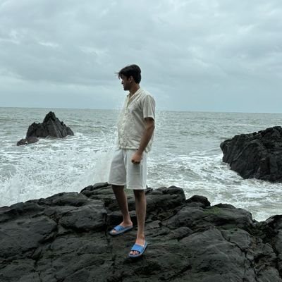 lakshh__'s profile picture. i like building cool stuff