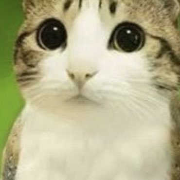 OKLOLPOPALO's profile picture. Ok