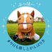 しょーゆ🐴 (@shoyukkars1129) Twitter profile photo しょーゆ🐴 (@shoyukkars1129) Twitter profile photo