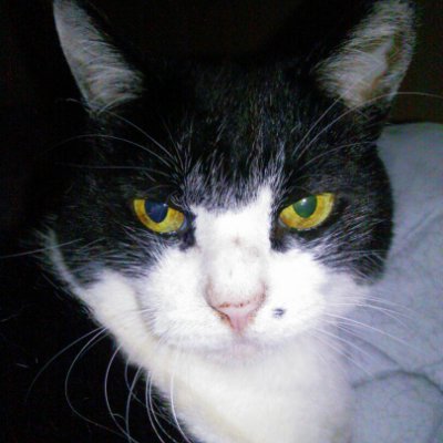 アサカさんのプロフィール画像