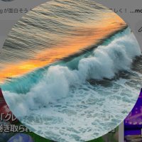 幸晋平＠テキサス (@shimpeimiyuki) Twitter profile photo