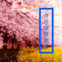 GGBB_3.0_✨QAJF✨ (@ggbb_3_qajf) Twitter profile photo